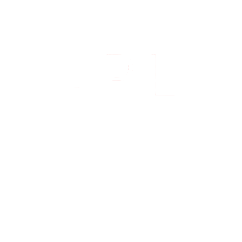 American Premier League logo