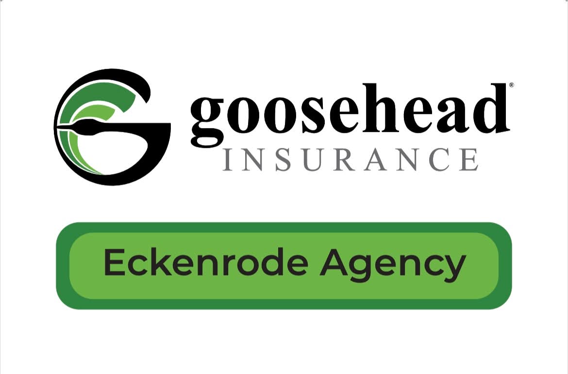 Goosehead Insurance logo